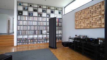 Blick auf das Vinyl-Regal